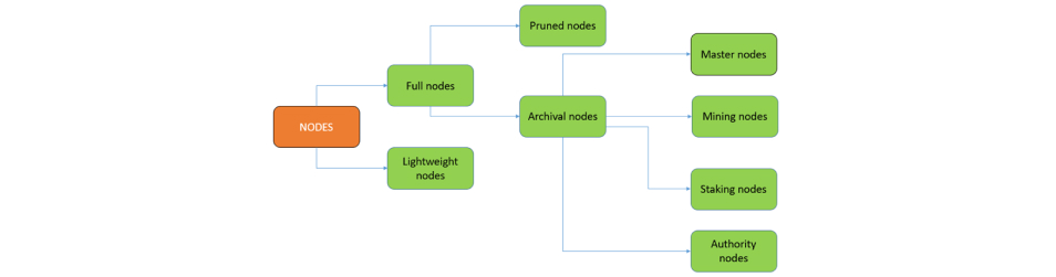 What is a Node in Blockchain? Types